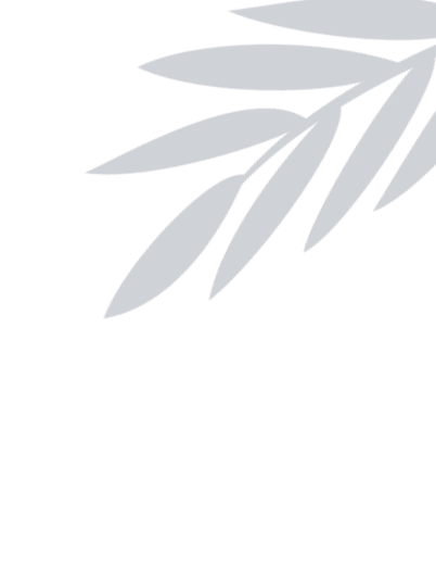 highlight-29_icon_image